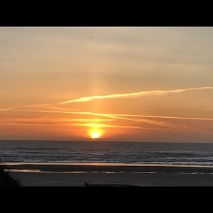 Meet your Posher, Aimee